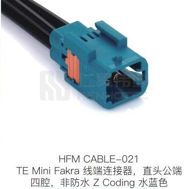 HFM-CABLE-021